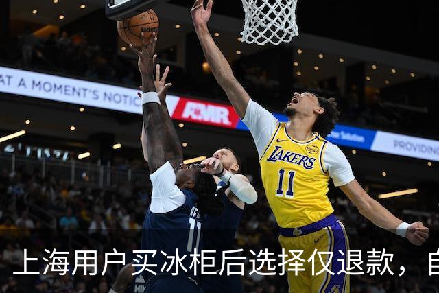 上海用户买冰柜后选择仅退款，自称冰柜"已销毁"无法退货，商家跨省索要后发现冰柜正插电使用，结局亮了