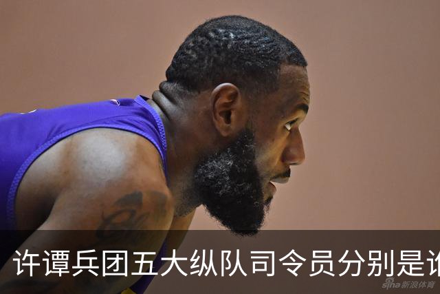 许谭兵团五大纵队司令员分别是谁？他们的军衔又是什么情况？